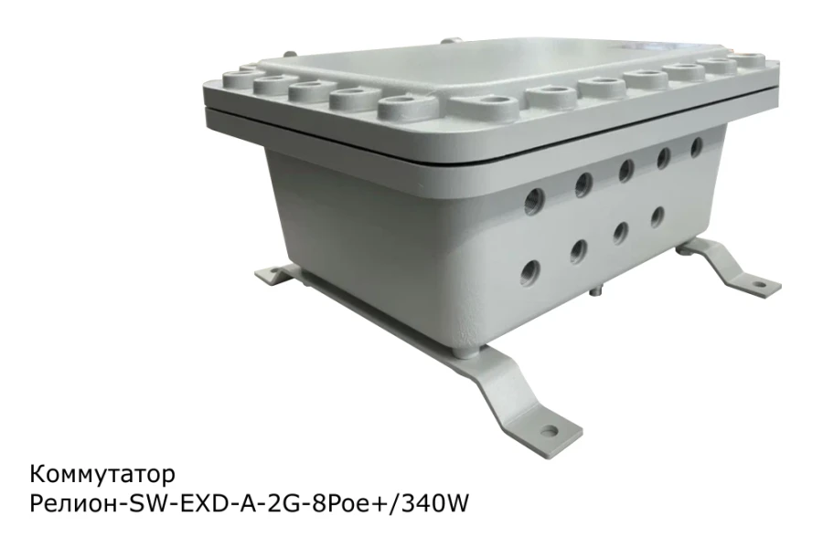 مفتاح مُدار مضاد للانفجار، ريلون-SW-EXD-A-2G-8Poe+/340W