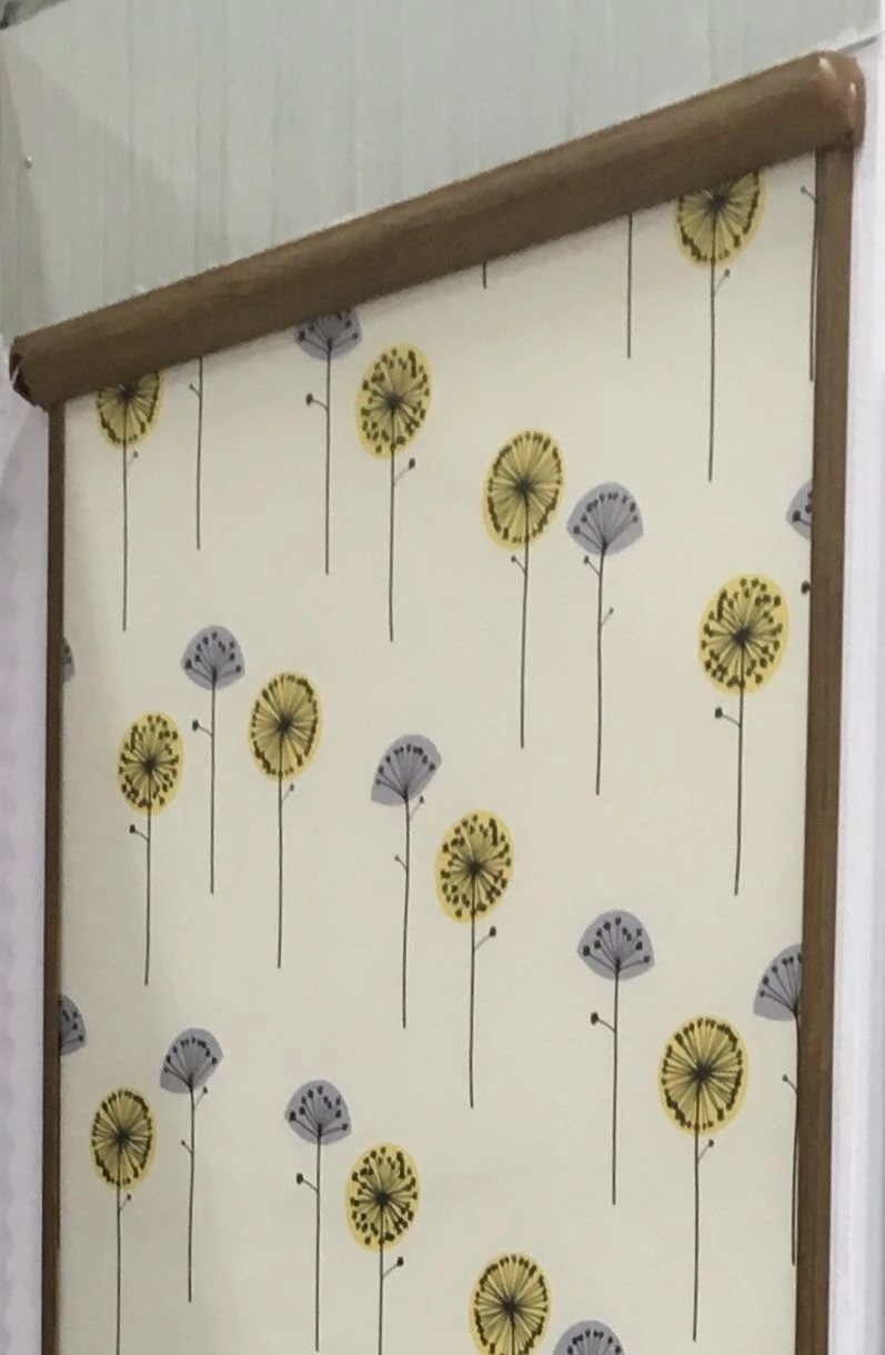Roller Sunscreen Blinds "System B39