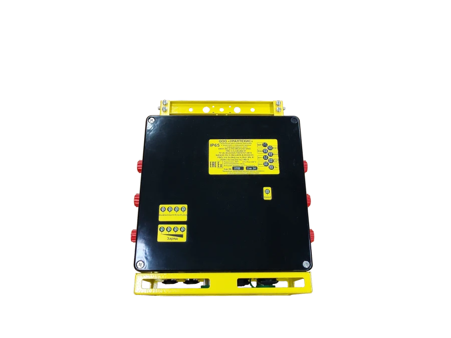Personnel and Transport Registration Device with Data Transmission URPT-IS-C-RO-W6-P1-E4-IP65 TIS 2.4.3.09