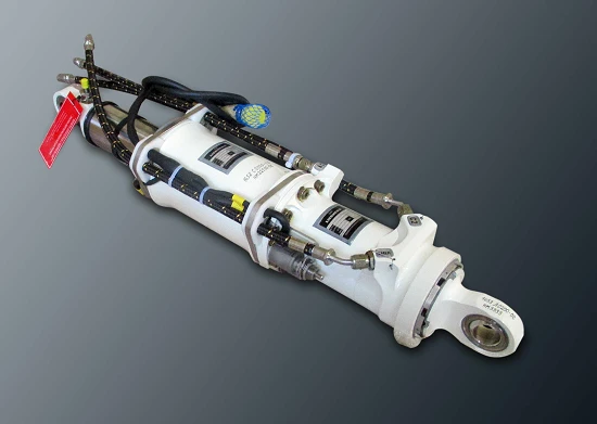 Main Support Shock Absorber Assembly 091531250